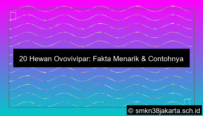 20 Contoh Hewan Ovovivipar