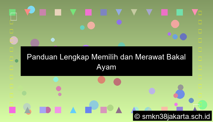 Bakal Ayam