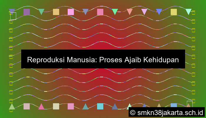 Manusia Mengalami Reproduksi Secara