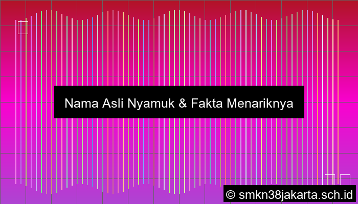 Nama Asli Nyamuk