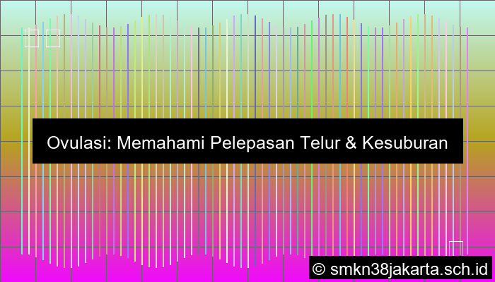 Ovulasi Adalah Peristiwa Terlepasnya