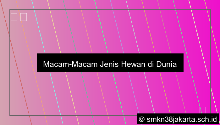 Sebutkan Macam Macam