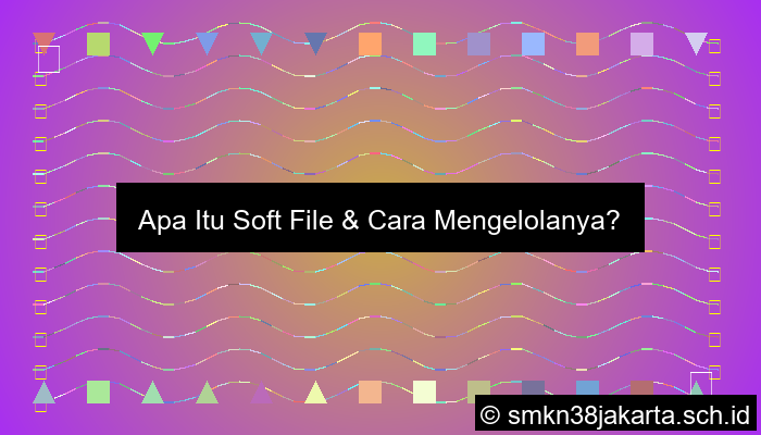 Soft File Adalah