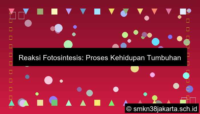 Tuliskan Reaksi Fotosintesis