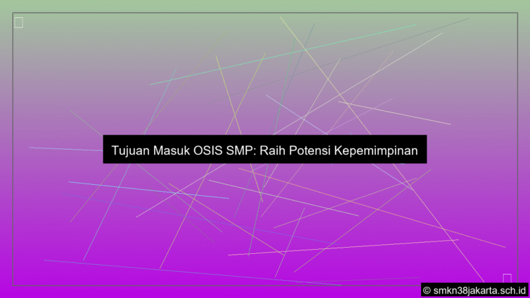 visual tujuan masuk osis smp