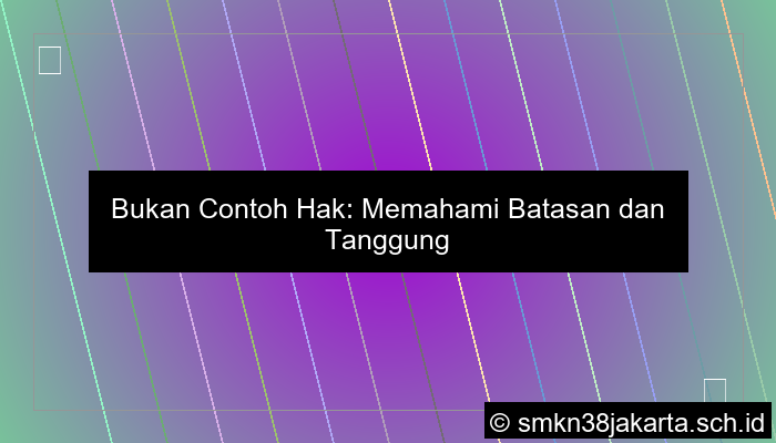 visual bukan contoh hak