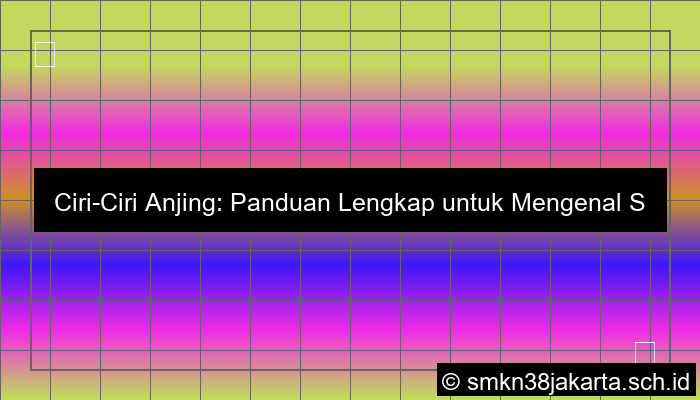 ilustrasi ciriciri anjing