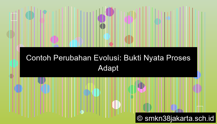 contoh perubahan evolusi