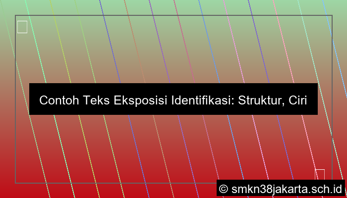 visual contoh teks eksposisi identifikasi