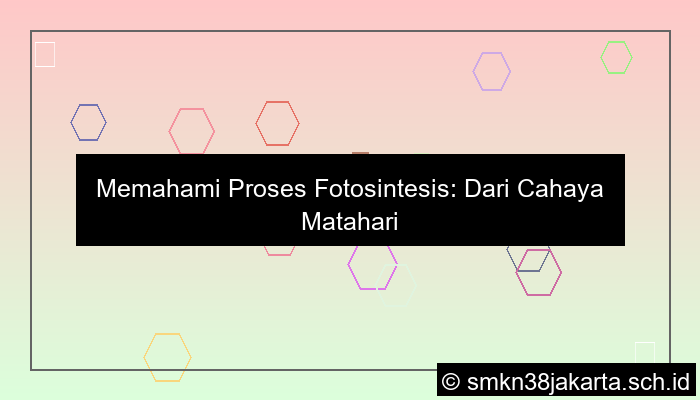 jelaskan proses fotosintesis