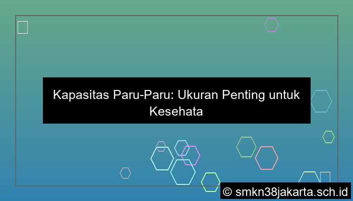 visual kapasitas paruparu