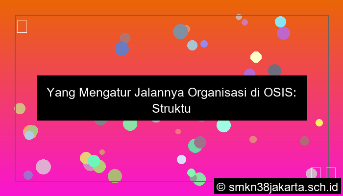 yang mengatur jalannya organisasi di osis adalah