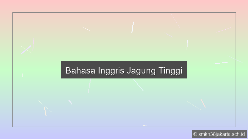 Bahasa Inggris Jagung Tinggi