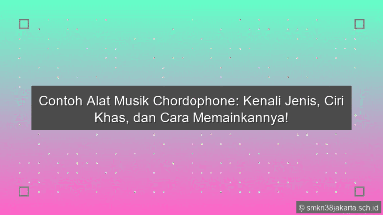 Contoh Alat Musik Chordophone