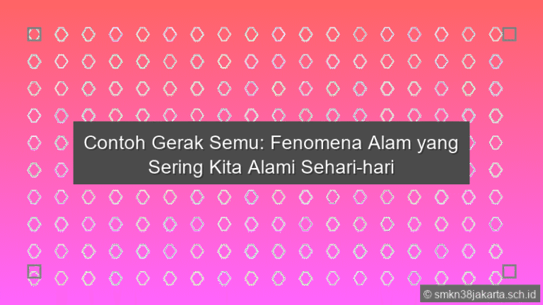 Contoh Gerak Semu