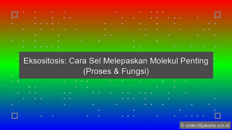 Eksositosis Dilakukan Sel Untuk
