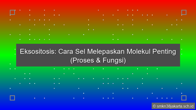 Eksositosis Dilakukan Sel Untuk