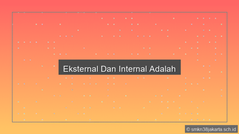 Eksternal Dan Internal Adalah