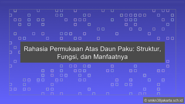 Permukaan Atas Daun Paku
