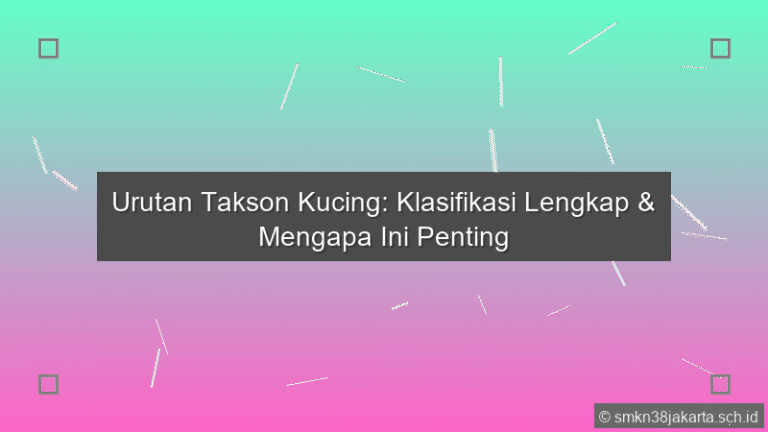 Urutan Takson Kucing