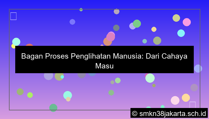 bagan proses penglihatan manusia