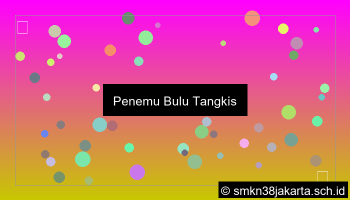 visual penemu bulu tangkis