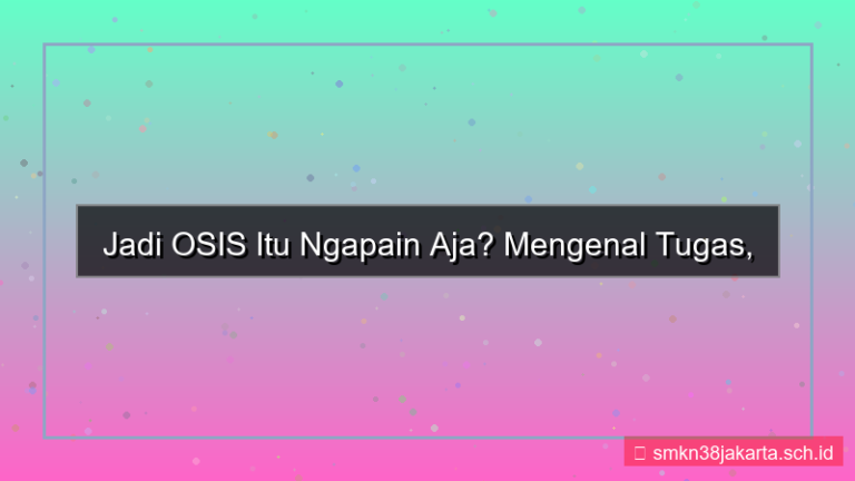desain jadi osis ngapain aja