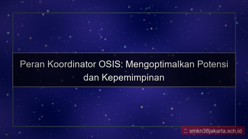 visual koordinator osis