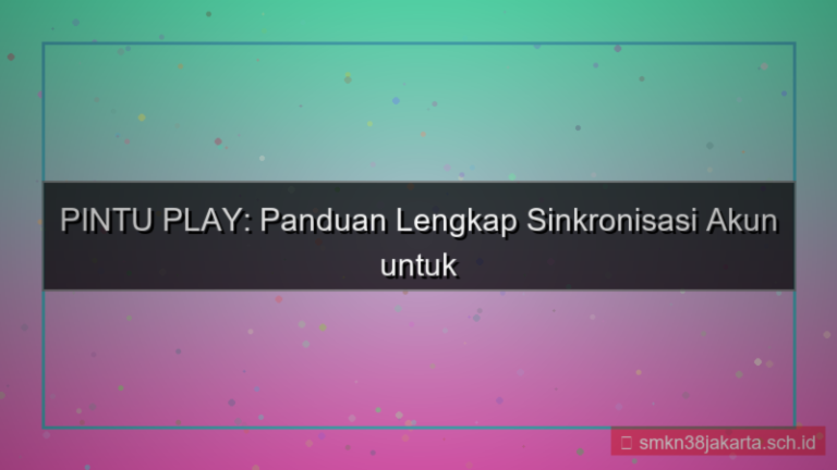 tampilan PINTU PLAY sinkronisasi akun