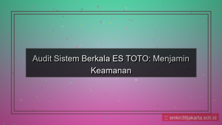 visual ES TOTO audit sistem berkala