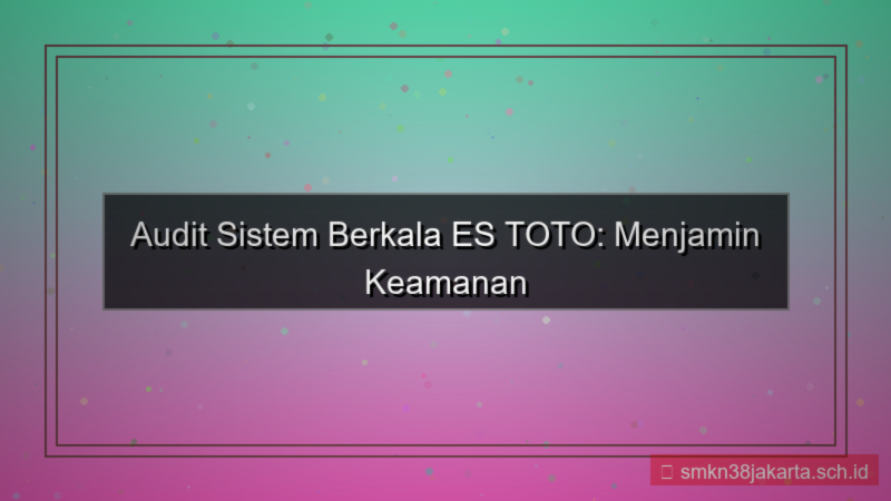 visual ES TOTO audit sistem berkala