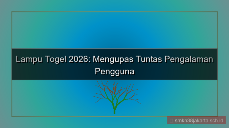 LAMPU TOGEL user experience 2026