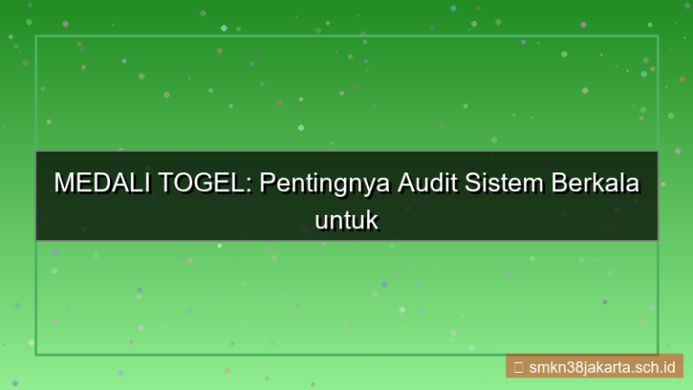 MEDALI TOGEL audit sistem berkala