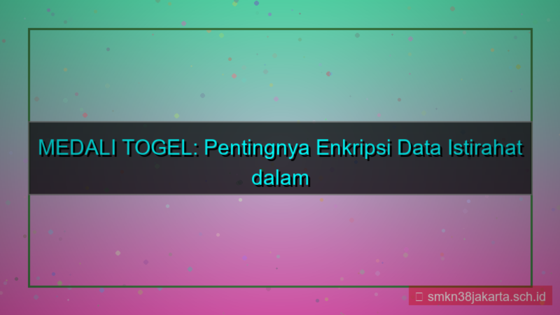MEDALI TOGEL enkripsi data istirahat